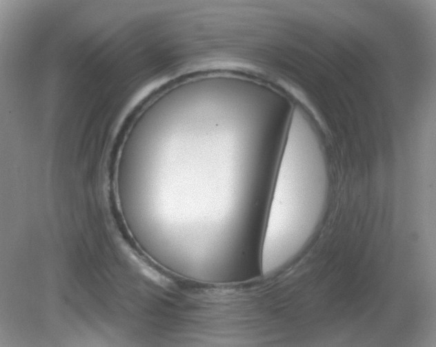 X0000082931024200702011041
