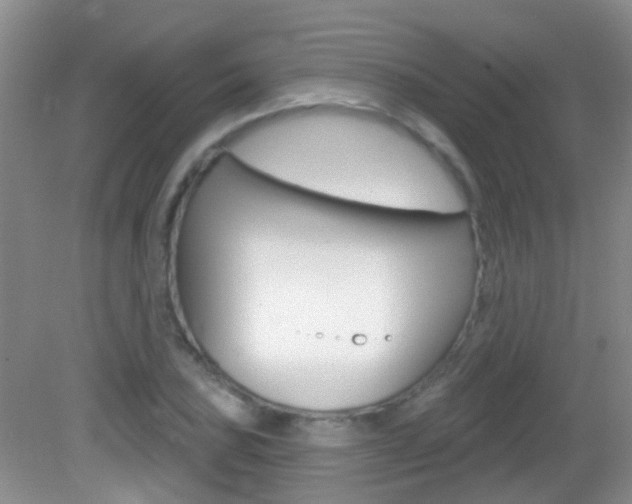 X0000082931027200702011041