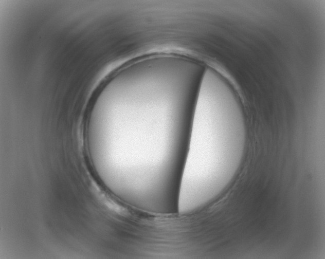 X0000082931032200702011041