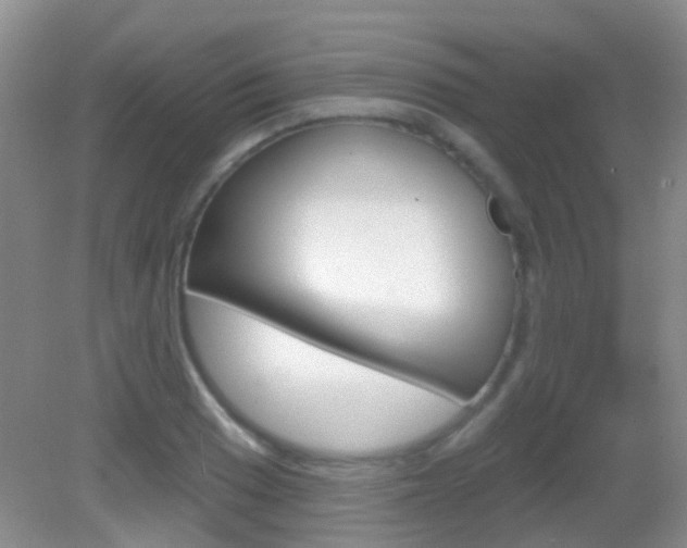 X0000082931033200702011041