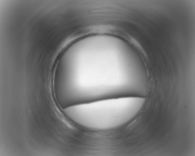 X0000082931035200702011041
