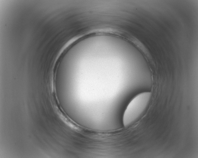 X0000082931036200702011041