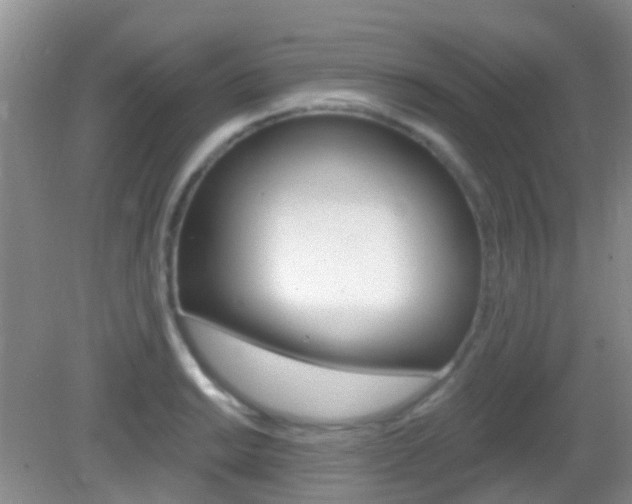X0000082931038200702011041