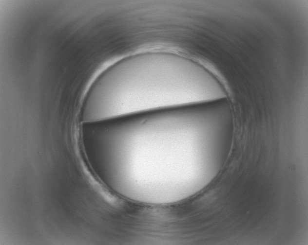 X0000082931040200702011041