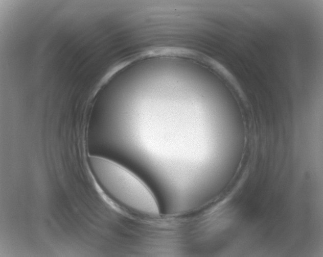 X0000082931041200702011041