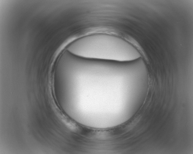 X0000082931043200702011041