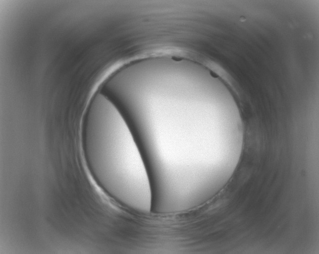 X0000082931047200702011041