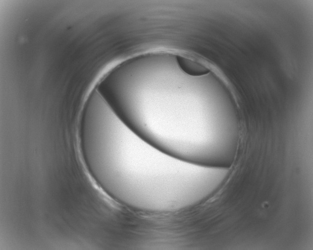 X0000082931048200702011041