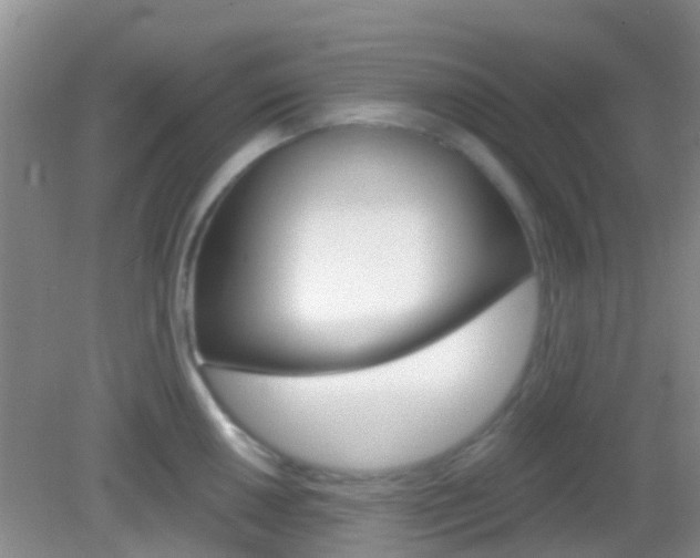 X0000082931050200702011041