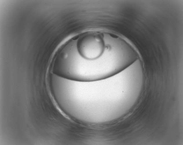 X0000082931053200702011041
