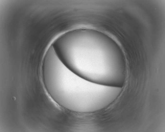 X0000082931056200702011041