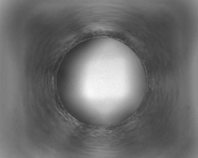 X0000082931061200702011040