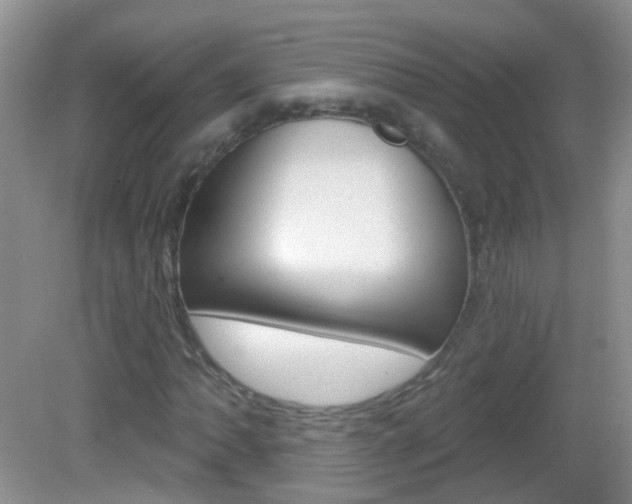 X0000082931062200702011040
