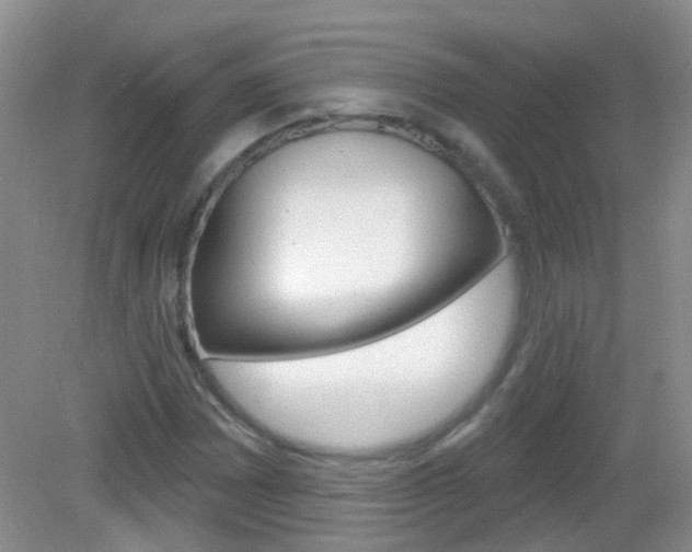 X0000082931065200702011040