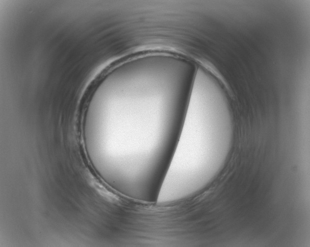 X0000082931068200702011040