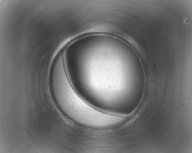 X0000082931077200702011040