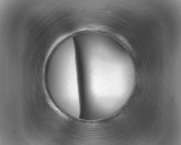 X0000082931080200702011040