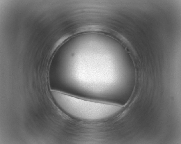 X0000082931081200702011040