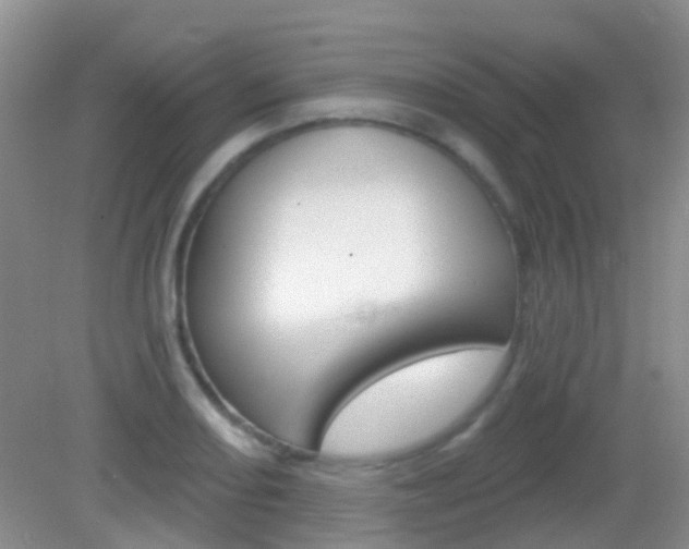 X0000082931082200702011040