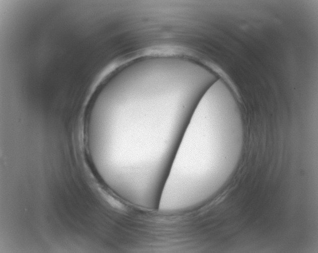 X0000082931083200702011040