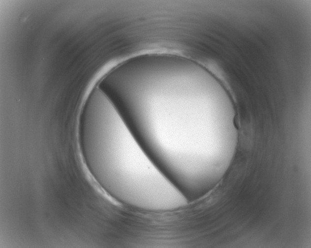 X0000082931096200702011040