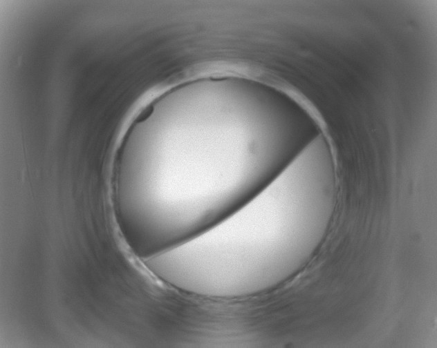 X0000082931104200702011039