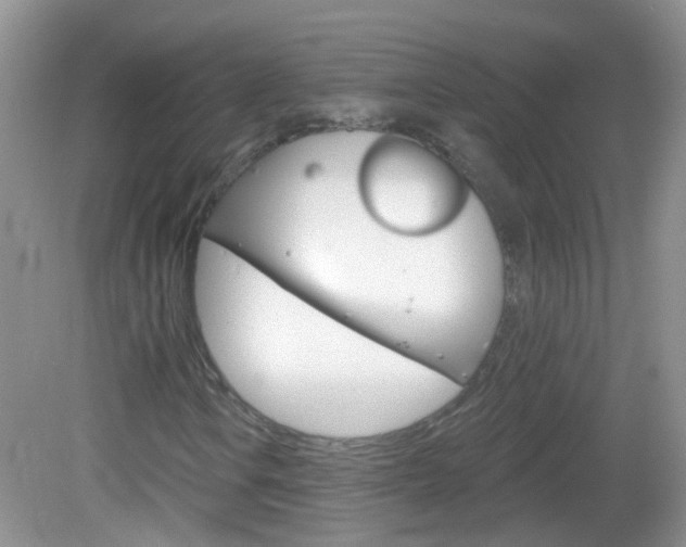 X0000082931106200702011039