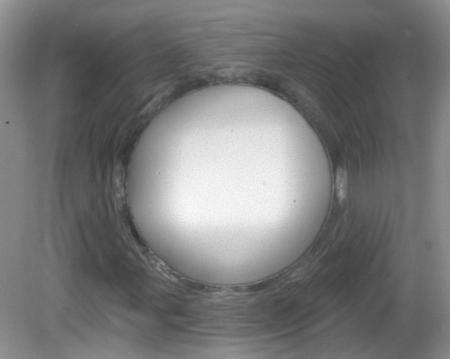 X0000082931107200702011039