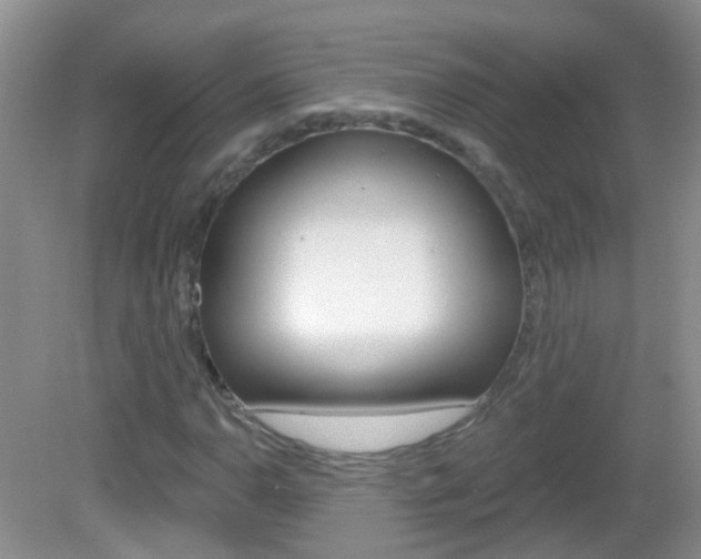 X0000082931110200702011039