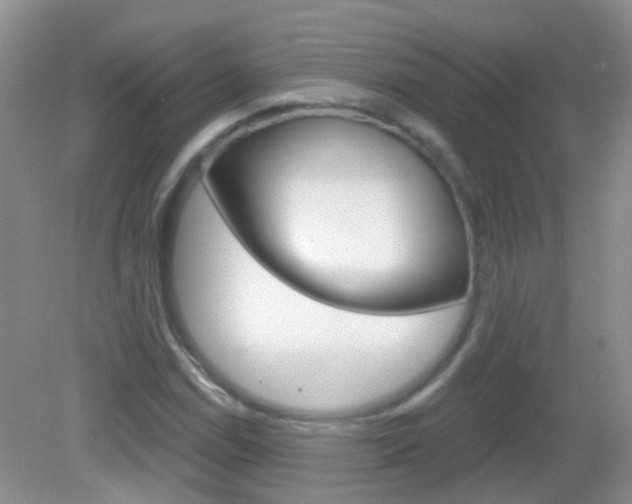 X0000082931114200702011039