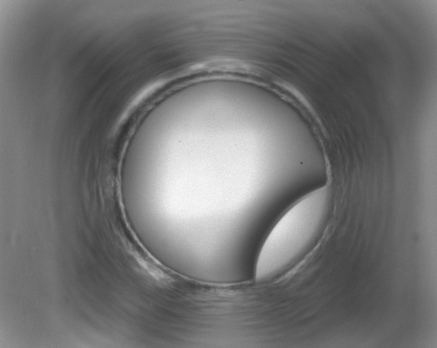 X0000082931115200702011039
