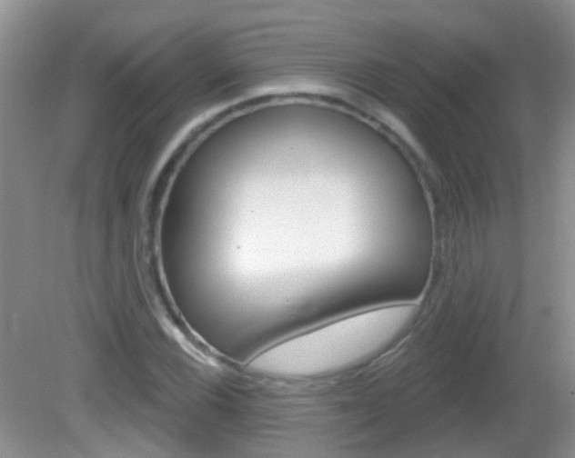 X0000082931116200702011039