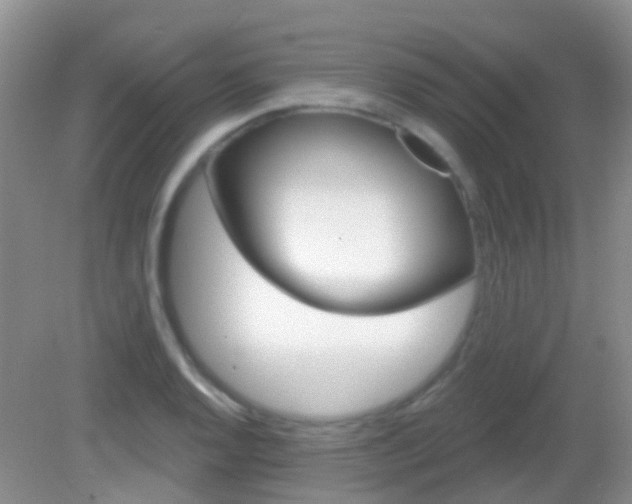 X0000082931128200702011039