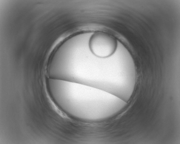 X0000082931130200702011039