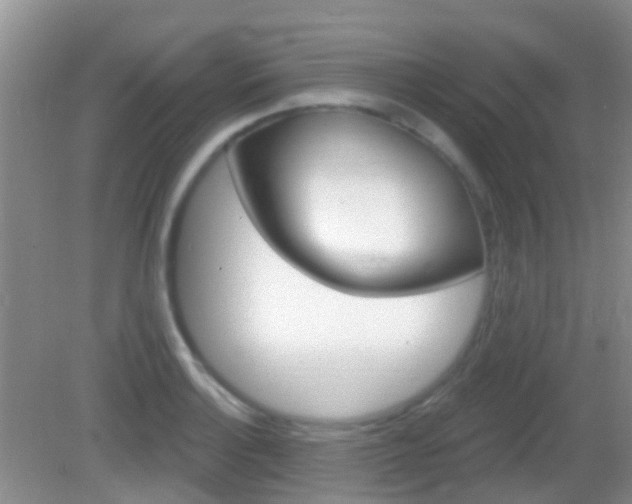 X0000082931132200702011039