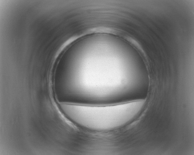 X0000082931133200702011039