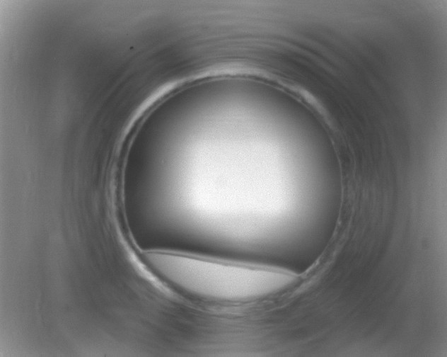 X0000082931134200702011039