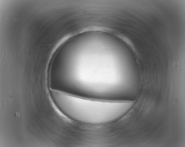 X0000082931135200702011039