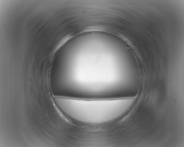 X0000082931137200702011039