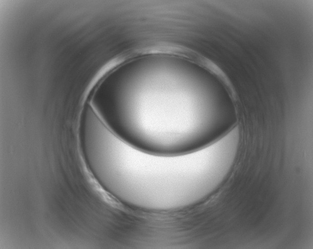 X0000082931138200702011039