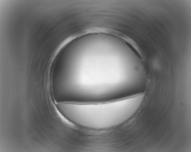 X0000082931143200702011039