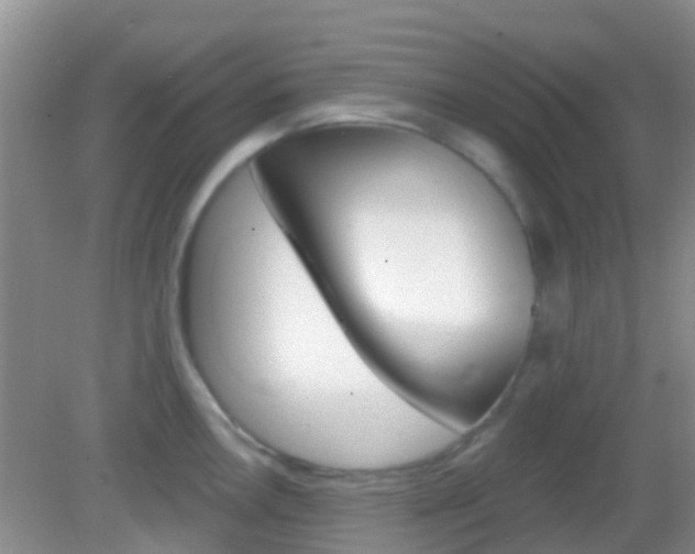 X0000082931146200702011039