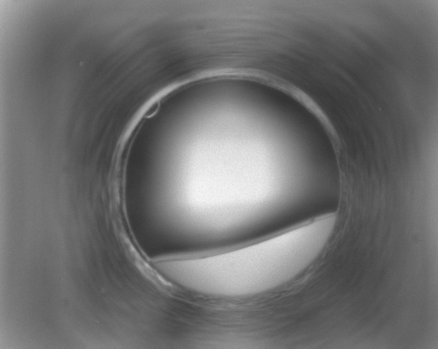 X0000082931148200702011039