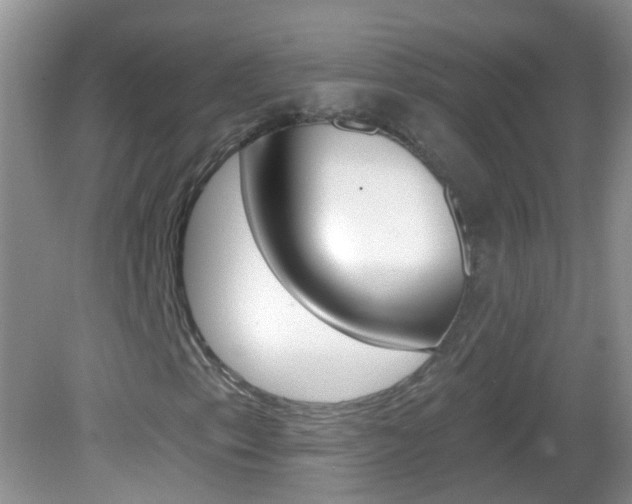 X0000082931153200702011039