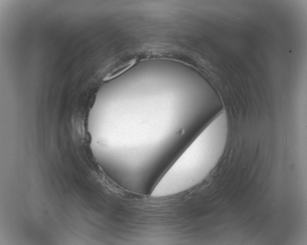 X0000082931155200702011039