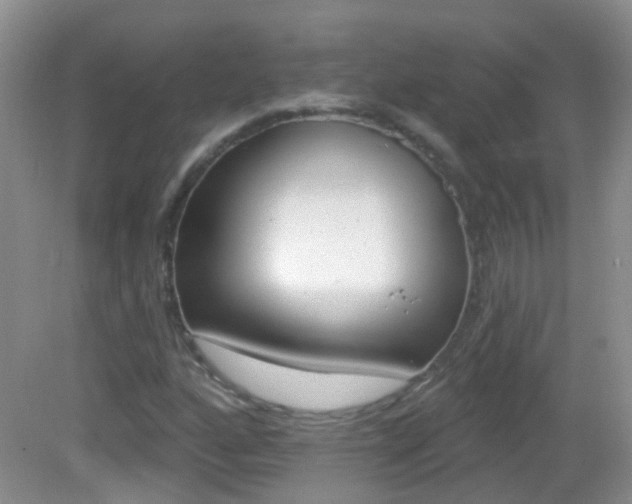 X0000082931160200702011039
