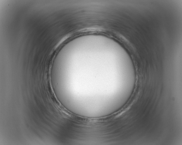 X0000082931162200702011038
