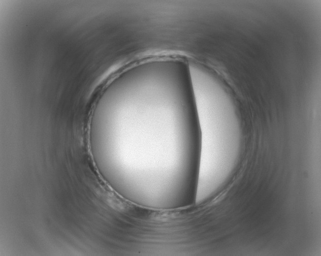 X0000082931165200702011038