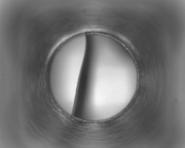 X0000082931167200702011038