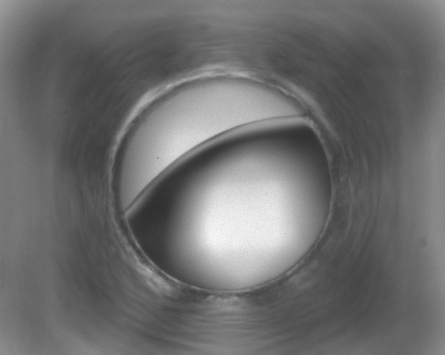 X0000082931168200702011038